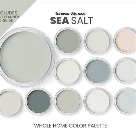 Calm Coastal Paint Color Palette Sherwin Williams Coastal Etsy Artofit