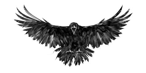 Crow Wingspan Stock Illustrations – 13 Crow Wingspan Stock Illustrations, Vectors & Clipart ...