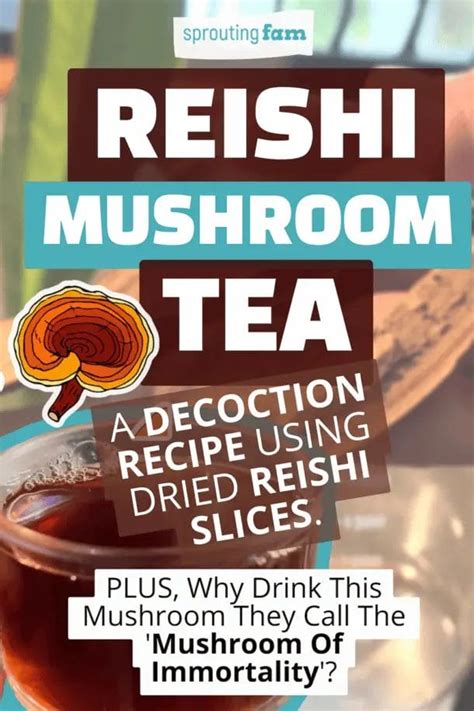 Reishi Mushroom Tea Recipe (Lingzhi Decoction) - Sprouting Fam