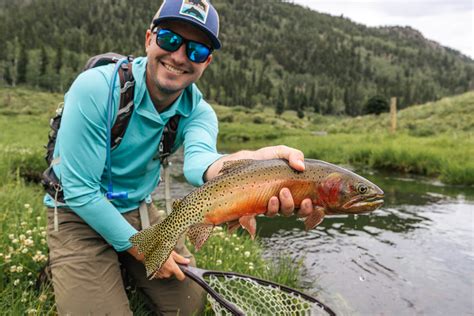 Fishing For Rio Grande Cutthroats On The Conejos River Aspiring Wild