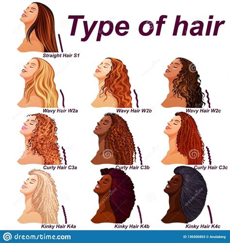 Hair Types Chart Displaying All Types and Labeled Stock Vector ...