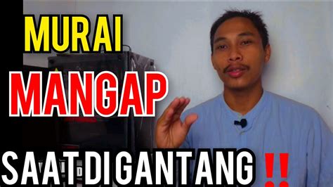 Ini Sebabnyapenyebab Murai Batu Mangap Saat Digantangan Youtube