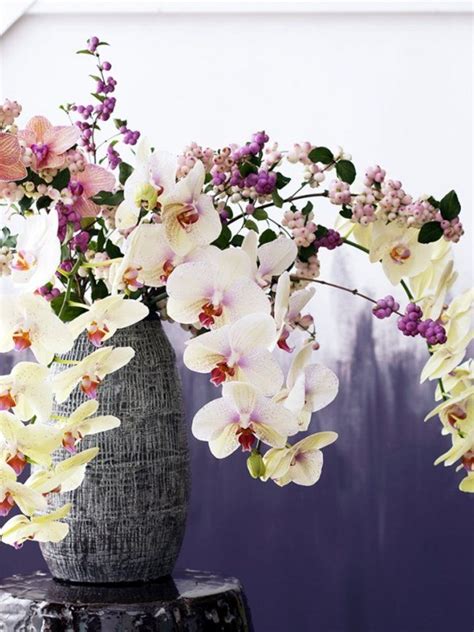 Feng Shui Mit Der Orchidee Orchids Flowers Feng Shui Orchid