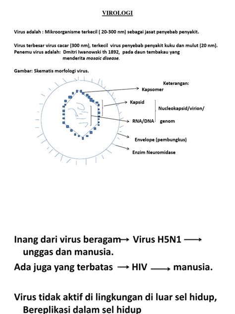 Gambar Virus Hiv Dan Keterangannya – pulp