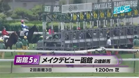 【2歳新馬ドナベティ】メイクデビュー函館 202378 函館第5r1200m 芝 競馬動画まとめ