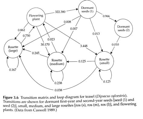 Matrix Population Models