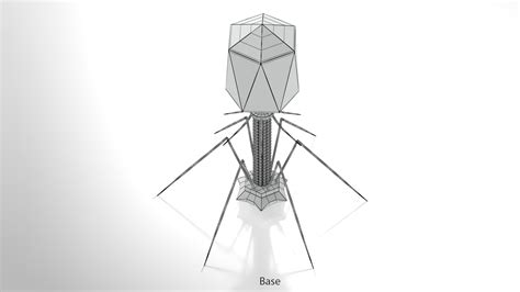 Bacteriophage 3d Model Turbosquid 1975695