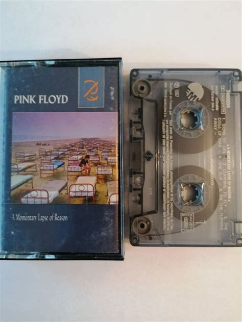 Pink Floyd A Momentary Lapse Of Reason K7 Kaufen Auf Ricardo