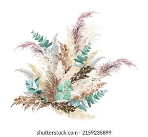 Watercolor Pampas Grass Eucalyptus Bouquet Hand Stock Illustration