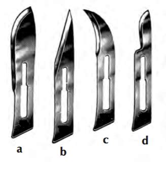 5 Common Surgical Instruments Flashcards Quizlet