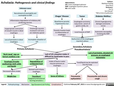 Achalasia: Pathogenesis and clinical findings | Calgary Guide