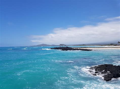 Premium Photo | Galapagos coast- pacific ocean