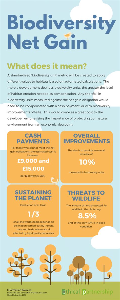 Biodiversity Net Gain Infographic Ethical Partnership