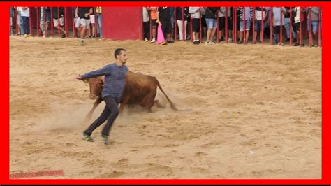 CALATORAO ZARAGOZA TARDE VACAS PLAZA DOMINGO 27 AGOSTO 2023