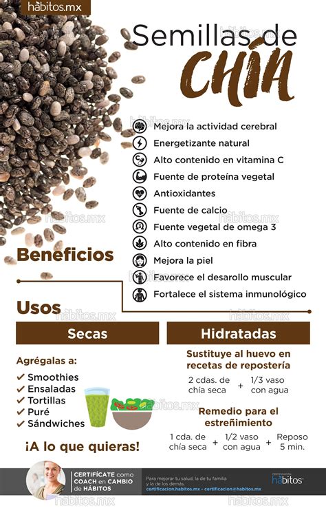 Beneficios De Las Semillas De Chía Hábitos Health Coaching Chia