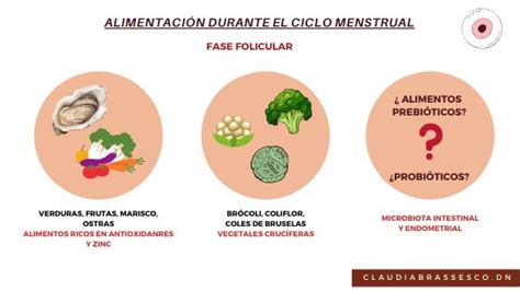 Ciclo Menstrual Fases Y Dieta A Seguir Centro Júlia Farré