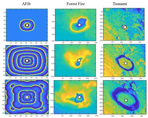 Signal Propagation Patterns In Realistic Scenarios Each Sub Figure Download Scientific Diagram