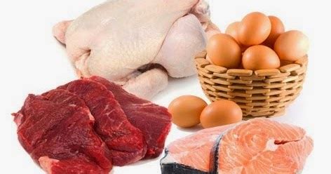 Ovo É Considerado Carne - Grupo da Carne, Pescado e Ovos ~ Química dos Alimentos