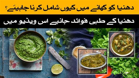 Hara Dhaniya Khane Ke Fayde Sukha Dhaniya Khane Ke Fayde Coriander