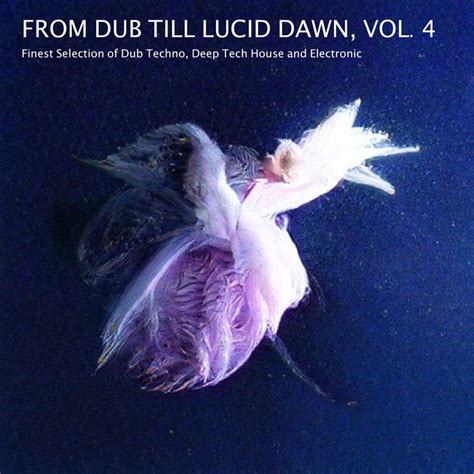 From Dub Till Lucid Dawn Vol 4 Sofa Sessions