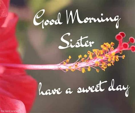 120 Lovely Good Morning Wishes And Greetings For Sister Good Morning Sister Good Morning