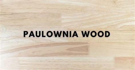 Paulownia Wood | Uses, Advantages, and Disadvantages