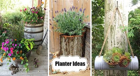 Planter Ideas 18 Inspiring Design Tips For Gorgeous Garden Containers