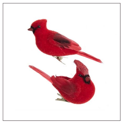 rod fugl med klips venoma