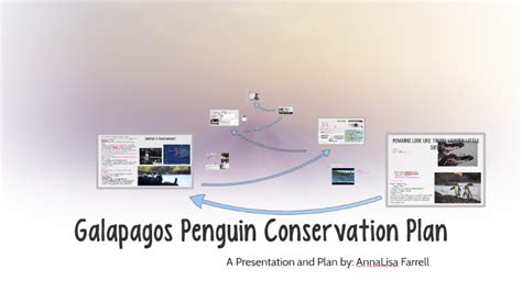 Galapagos Penguin: Conservation Plan by AnnaLisa Farrell