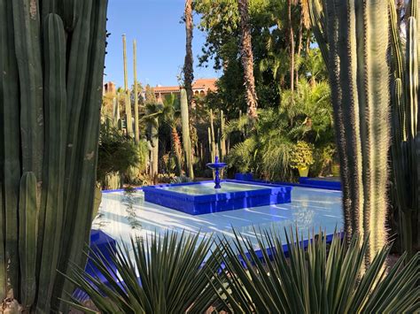 An Outdoor Swimming Pool Surrounded By Cactus Trees