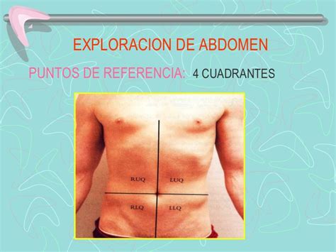 Cuadrantes Abdominales Anatomía órganos