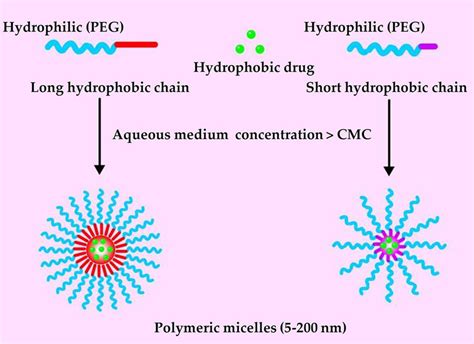 Frontiers Peg Derivatized Dual Functional Nanomicelles For Improved