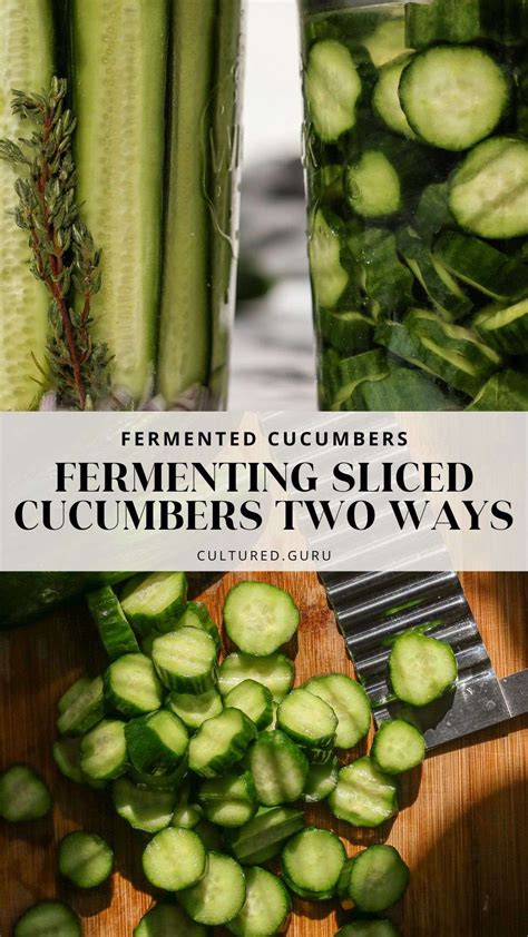 Fermented Cucumbers Fermenting Sliced Cucumbers Two Ways Artofit