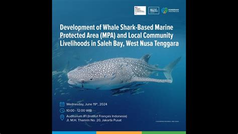 Kick Off Project Development Of Whale Shark Based Mpa In Saleh Bay