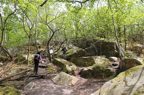 Circuit des 25 bosses en forêt de Fontainebleau Randonnée