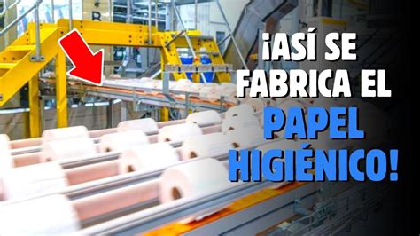 Como Se Fabrican Millones De Rollos De Papel Higienico Youtube