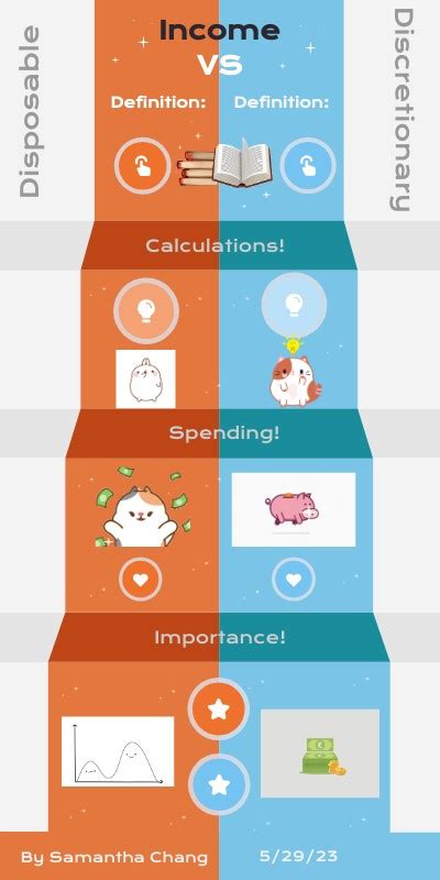 Samantha Chang Disposable Income VS Discretionary Income