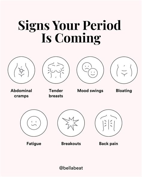 Menstrual Cycle Chart Menstrual Cycle Phases Signs Of Menstruation