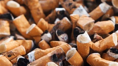 New Zealand Will Ban The Sale Of Tobacco For The Benefit Of Future