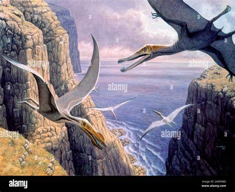 Flying Pterosaurs Artwork Pterosaurs Were Flying Reptiles That