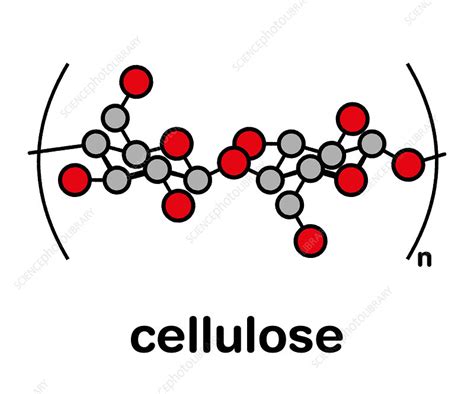 Cellulose Chemical Structure Illustration Stock Image F0278296