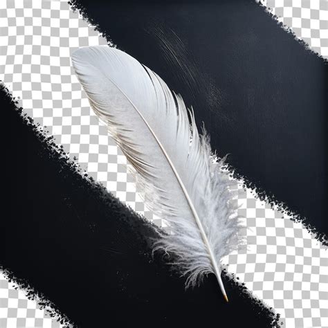 Premium PSD White Feather Transparent Background