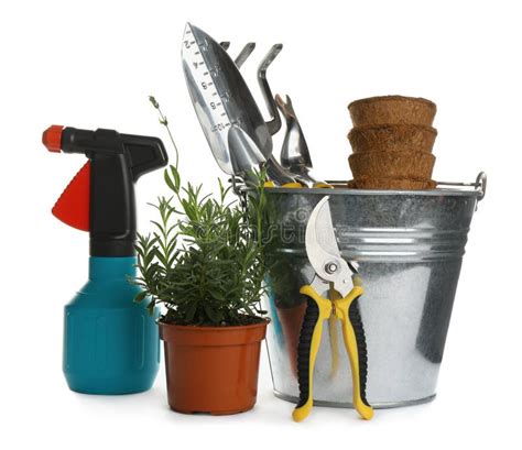 Different Modern Gardening Tools on White Background Stock Photo ...