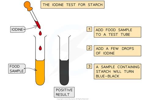 Edexcel Igcse Biology Double Science Practical Food Tests