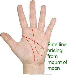 Fate Line Arises From The Mount Of Moon Palmistry Palm Reading