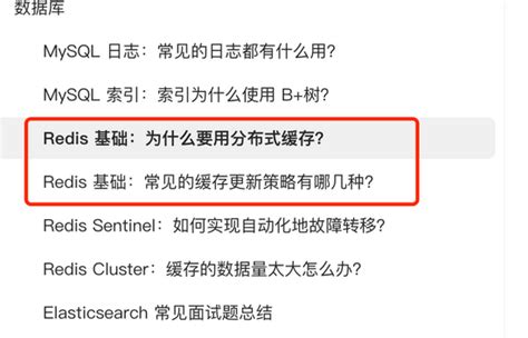 缓存基础常见面试题总结 付费 JavaGuide