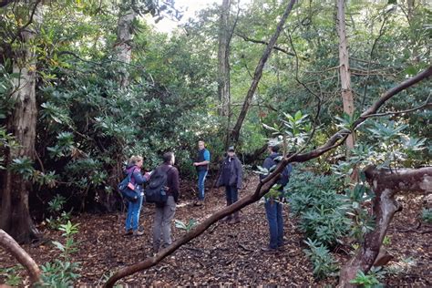 Managing Black Park Country Park - TEP - The Environment PartnershipTEP ...