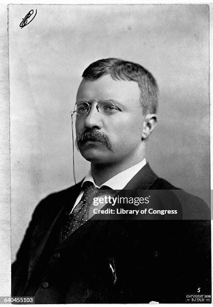 Theodore Roosevelt Portrait Fotografías E Imágenes De Stock Getty Images