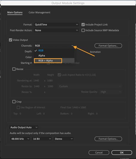 How To Export Transparent Video After Effects Aejuice