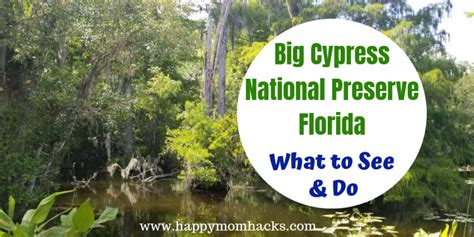 Big Cypress National Preserve - What to See & Do | Happy Mom Hacks